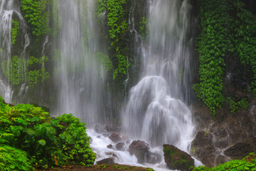Obraz premium Banyu Wana Amertha Waterfall Flowing Through Lush Tropical Jungle in Fog, Bali, Indonesia
