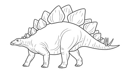 Stegosaurus Line Art: A detailed illustration of a Stegosaurus, showcasing its unique plated back and iconic appearance. © hafs121