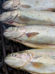 Obraz premium Close-up of fresh whole rainbow trout seasoned with herbs and spices, cooking on a hot grill rack over glowing coals. Perfect for food photography, recipes, and culinary themes.