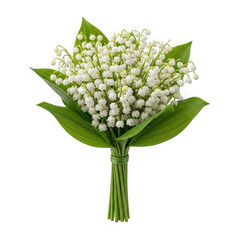 Obraz premium Fresh lily of the valley bouquet with green leaves isolated transparent background
