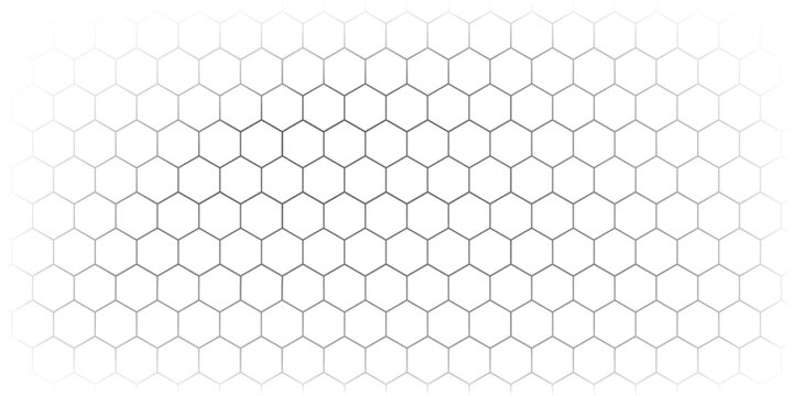 Fishing or soccer net. Repeated hexagon pattern. Black wired mesh texture isolated on white background. Metallic or fabric fence, cage or lattice structure. Vector graphic Illustration.