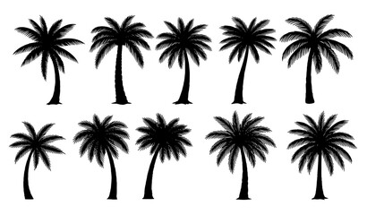 Hand drawn palm tree silhouettes vector set isolated on white background