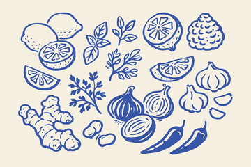 Obraz na płótnie Canvas Herbs garlic lemon ginger doodle line art vector illustration