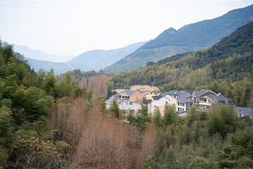 Fototapeta premium Mountain village nestled among bamboo forests with white walls and black-tiled roofs