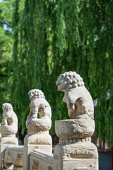 Fototapeta premium The Forbidden City,Stone lion statues on a balustrade