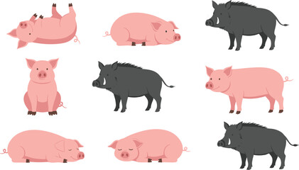 Fototapeta premium Collection of cute pink domestic pigs and black wild boars in various poses including sleeping sitting and standing isolated on white background for farm animal illustrations and wildlife design