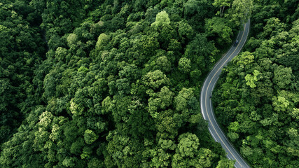 aerial view of a winding asphalt road cutting through dense green forest. Scenic mountain roadway surrounded by lush tropical trees, ideal for travel, transportation, nature, adventure, sustainability