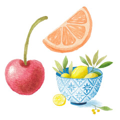 fruit watercolor clipart for design