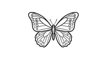 Detailed illustration of a butterfly. © ayana