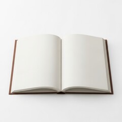 Open book with blank pages