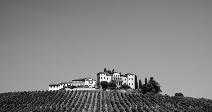 Italia in bianco e nero. Panorama dei vigneti del Prosecco nella regione di Valdobbiadene in provincia di Treviso. Veneto, Italia	

