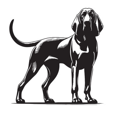 Bloodhound Dog Vector Silhouette Artwork Featuring Legendary Scent Tracking Hound, Loyal Companion, Powerful Nose, Wrinkled Face, Droopy Ears, Noble Breed, Detective Spirit, Classic Canine.