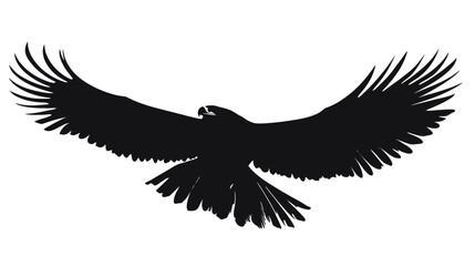 Majestic silhouette of a soaring eagle in flight