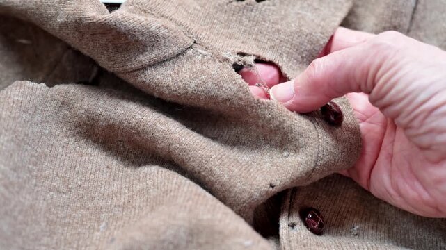 sweater with moth holes