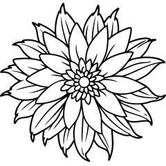 Gaillardia line art vector