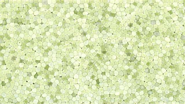 green expanded polystyrene plastic texture background