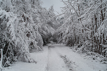 d&eacute;cor enneig&eacute;