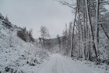 d&eacute;cor enneig&eacute;