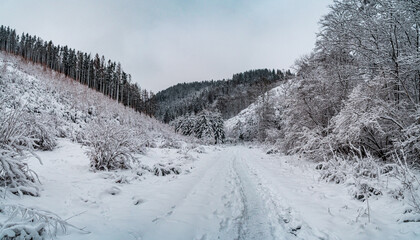 d&eacute;cor enneig&eacute;