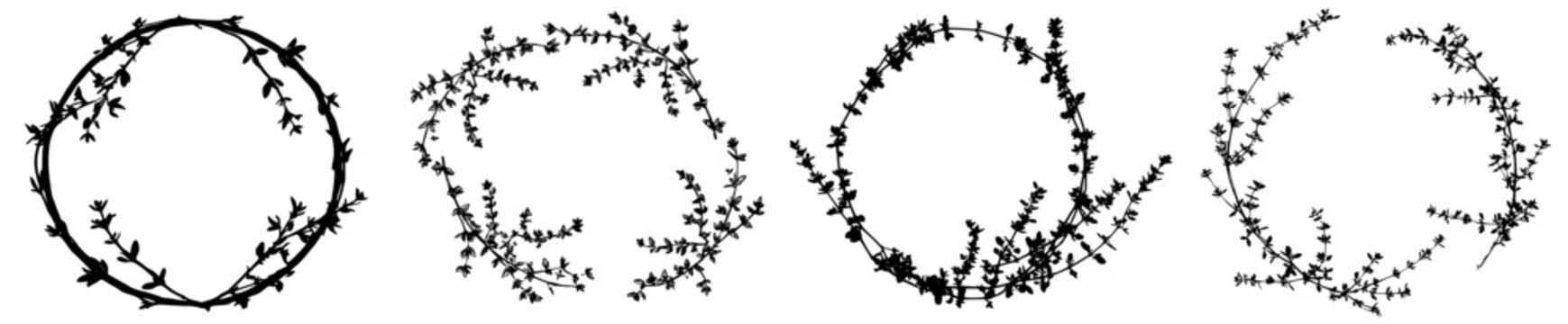 Whispers of Spring: A Floral Mandala of Thyme