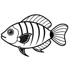 Electric Blue Acara line art vector