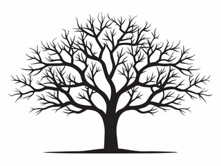 Detailed silhouette of a bare tree with intricate branches and a strong trunk