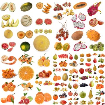 group of fruits