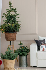 Christmas decor in a studio with lights