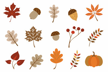 Autumn foliage and elements a collection of leaves acorns and berries