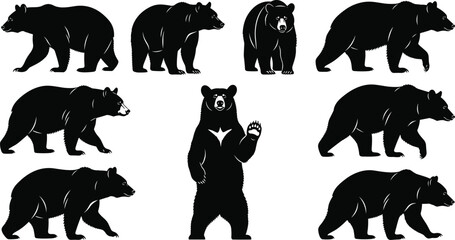 Bear silhouette collection, black walking and standing poses, upright bear design, nature vector illustration, wildlife graphic set © MstHafiza