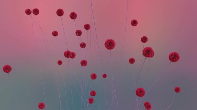 Round Red Flowers
Red flowers sprout upward, leaving behind stems.