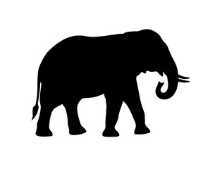 Fototapeta premium A black silhouette of an elephant walking on a white background