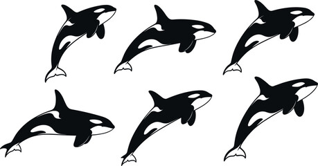 Orca Killer Whale Silhouettes Vector Illustration Set, Marine Mammal Jumping and Swimming in Ocean Black and White Collection © DALIARA 