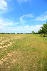 青空と公園の芝生