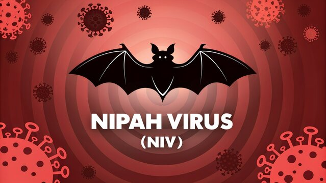 Nipah virus illustration with bat and virus cells