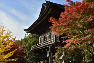 Fototapeta premium 秋の醍醐寺 上醍醐 如意輪堂(京都市伏見区)