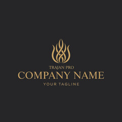 Obraz premium Golden Flame Logo Design Template Element.