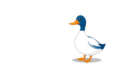 Fototapeta premium duck, bird, animal, wildlife, waterfowl, aquatic, pond, lake, river, wetland, water, swimming, floating, beak, feathers, wings, quack, nature, outdoor, wild, farm, domestic, cute, cartoon, icon, symbo