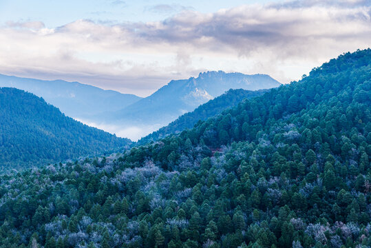 Wooded landscape with mountains of the Calar del Mundo and La Sima Natural Park in the background, Albacete, Spain.