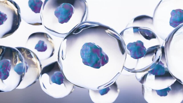 Microscopic view of Human cells, Embryonic stem cell, Healthy cells with mitochondria, Moving cells under the microscope, 3d animation 4K stock video