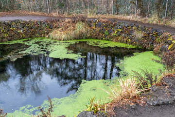 Choshiike pond of Oshino Hakkai in Japan