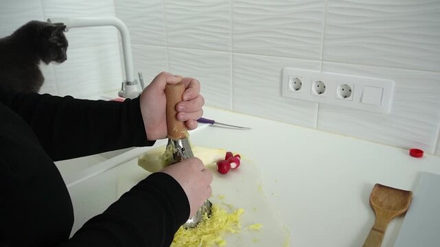 The cat watches the grating of potatoes. Hands rub vegetables on a conical grater, a white countertop, a cutting board and radishes, a bright kitchen.