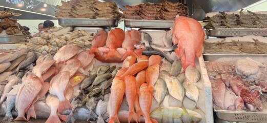 Closeup image of freshly caught fish on display at a fish market in Abu Dhabi, United Arab Emirates