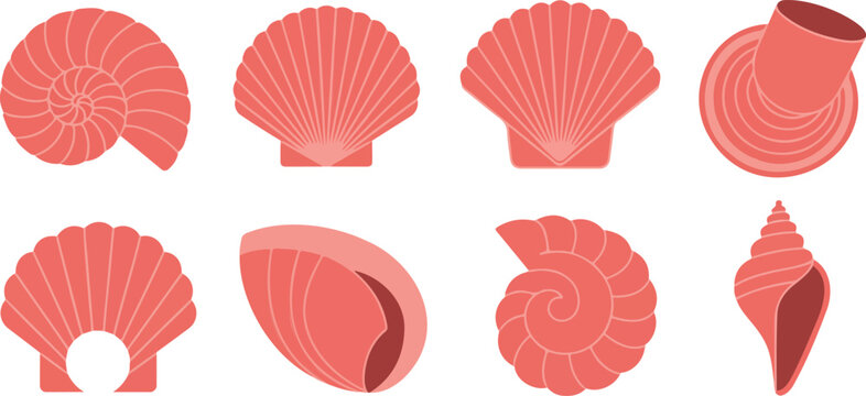 Pink Seashell Vector Set  Scallop and Conch Shells Minimal Beach Illustration