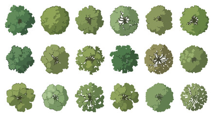 Top view of diverse green trees and plants for landscape design. © Muginandaru
