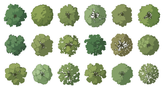 Top view of diverse green trees and plants for landscape design.