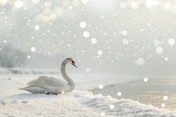 Soft White Abstract Background with Floating Dust Particles and Light Bokeh Effect