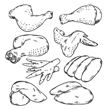 Set of hand drawn raw chicken meat outline drawing illustration