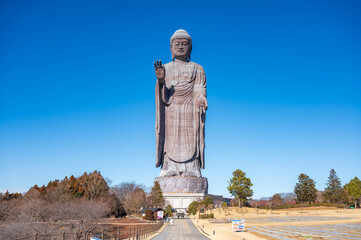 牛久大仏の全身像と青空