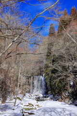 冬の唐沢の滝（菅平高原）